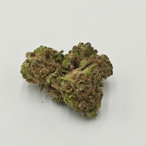 THE GREEN PLANET | OD BLUE CITY DIESEL (WW) - INDICA