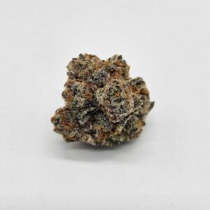 MERAKI GARDENS | BLUE RAZZ (MERAKI) - SATIVA