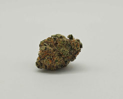 Burger Breath | Tangie Burger x KY Jealousy | Indoor Bulk Flower | Hybrid