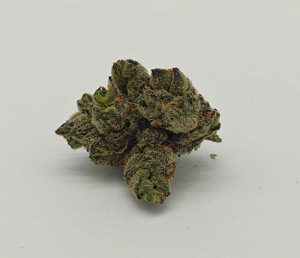 Canal St Runtz | Pre-64 Runtz x THC Bomb | Green Planet | Hybrid