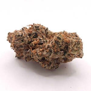 MERAKI GARDENS | DISCO BISCUITS (MERAKI) - INDICA