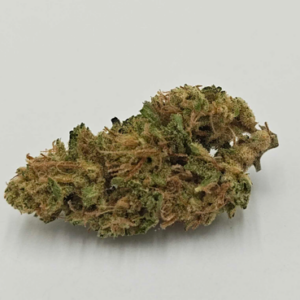 OREGON ROOTS | OD EMERALD FIRE OG (OR) - HYBRID