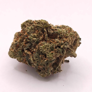 OREGON ROOTS | GRAPE SNOWTRAIN (O.R) - INDICA