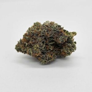 OREGON ROOTS | MO'BAMA (O.R) - HYBRID