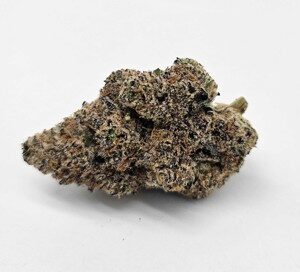 Maltese Tiger | Blockberry (Tiger Cake x Blueberry Frosting) | Meraki | Sativa