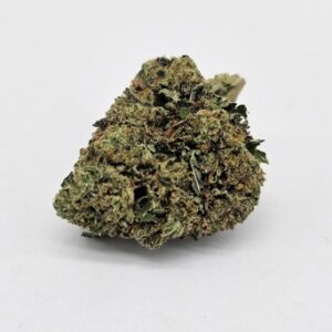 OD Modified Grapes | GMO x Purple Punch | William's Wonder | Indica