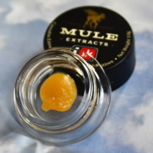 MULE EXTRACTS | 2G | MULE SUPER BOOF LIVE RESIN - HYBRID