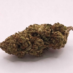 THE GREEN PLANET | OD MIMOSA (WW) - SATIVA