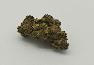 OD Royal Feast | Royal Sour Kush x Garlicot | William's Wonder | Hybrid