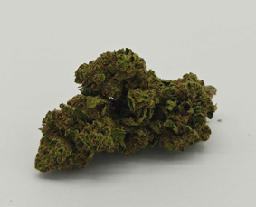 OD Suede Lemonade | Lemonade OG x SourDubble | William's Wonder | Hybrid