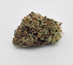 OD Purple Punch | Larry OG x Granddaddy Purple | William's Wonder | Indica