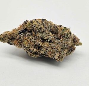 Platinum Lemon Cherry Gelato | Thin Mint GSC x Lemon Haze | Meraki | Hybrid