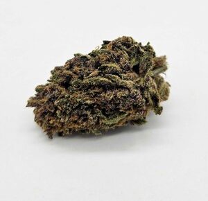 Ebb & Flow | SUN LOUNGER (E&F) - SATIVA