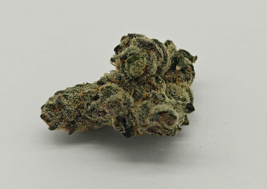 Sunny D | Cali Orange x Skunk #1 | Meraki Gardens | Sativa