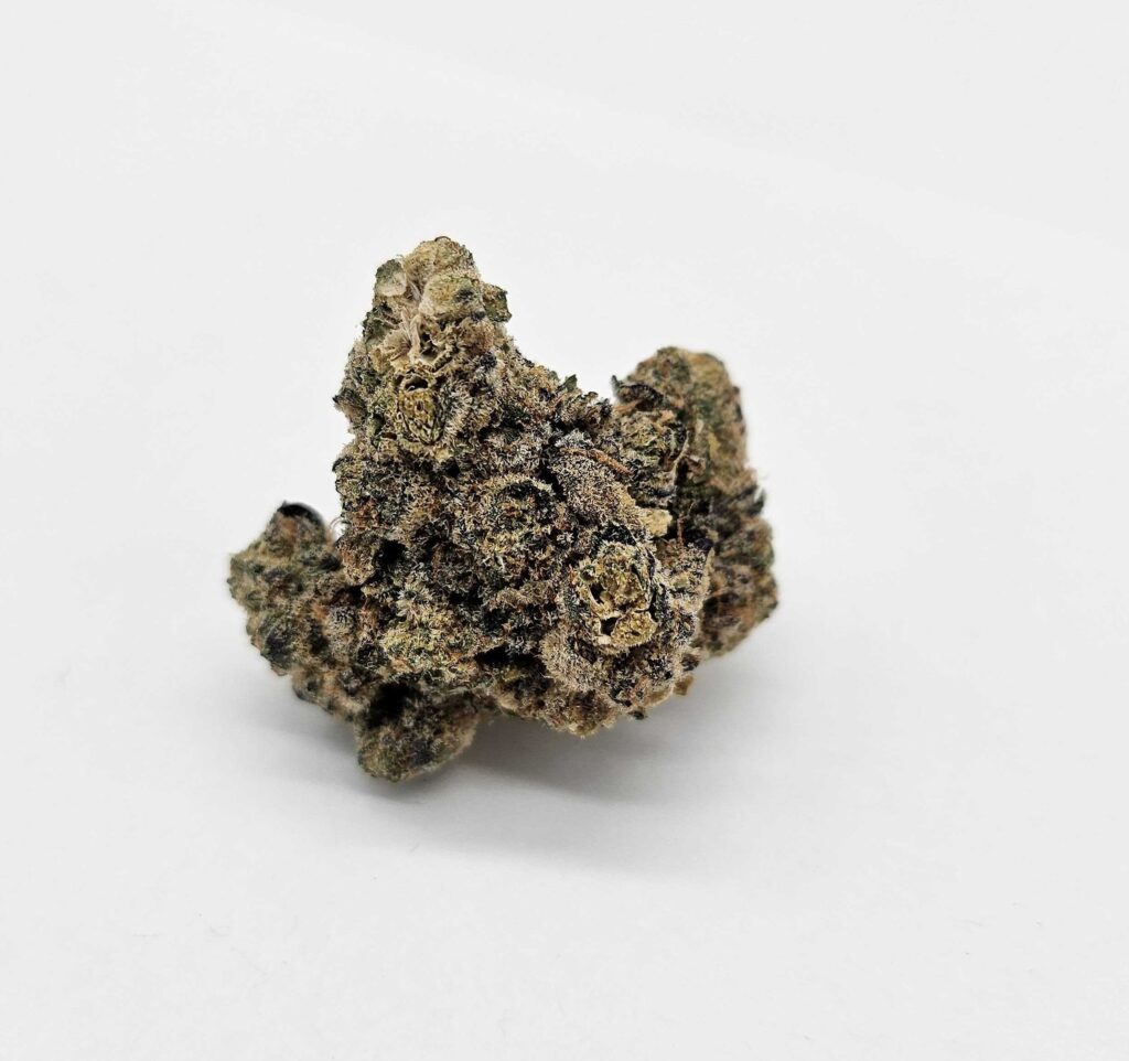 THE SOAP (GP) - HYBRID