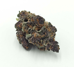 THE GREEN PLANET | TROPICANNA CHERRIES (GP) - SATIVA