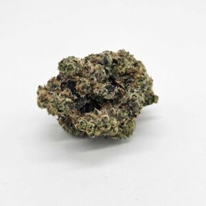 MERAKI GARDENS | VELVET GRAPES (MERAKI) - INDICA