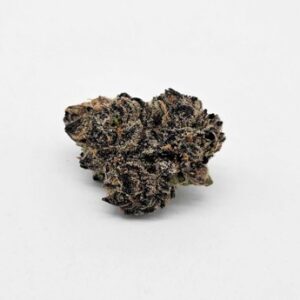 THE GREEN PLANET | GRUNTZ (GP) - HYBRID