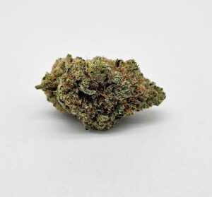 THE GREEN PLANET | LEMON TREE (GP) - SATIVA