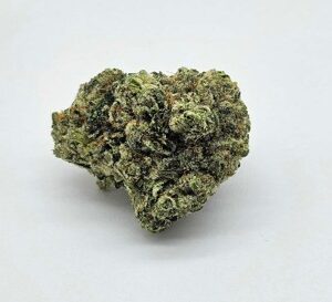 THE GREEN PLANET | M0J0 D0J0 (GP) - SATIVA