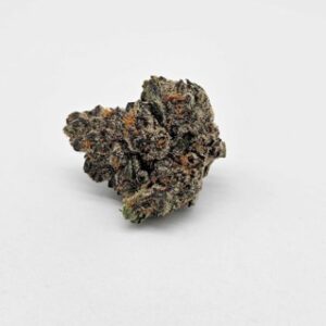 THE GREEN PLANET | SUNBURST SORBET (GP) - SATIVA