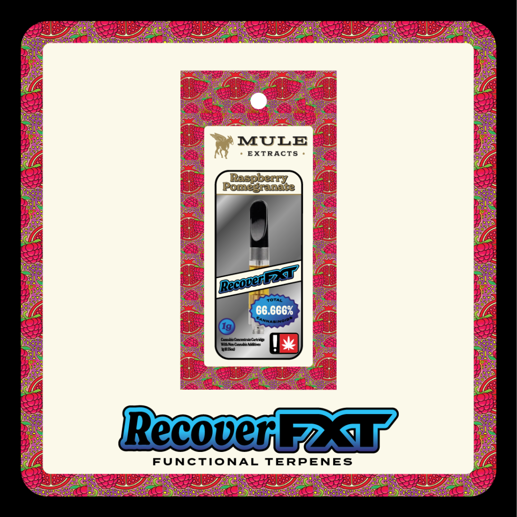 MULE 1G FXT RASPBERRY POMEGRANATE DISTILLATE CART - RECOVER
