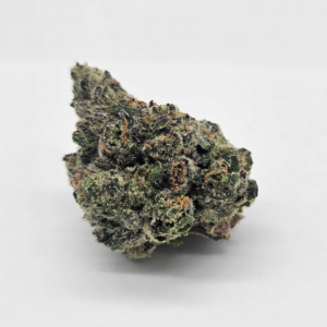 BUBBLEGUM SHERBERT (GP) - INDICA