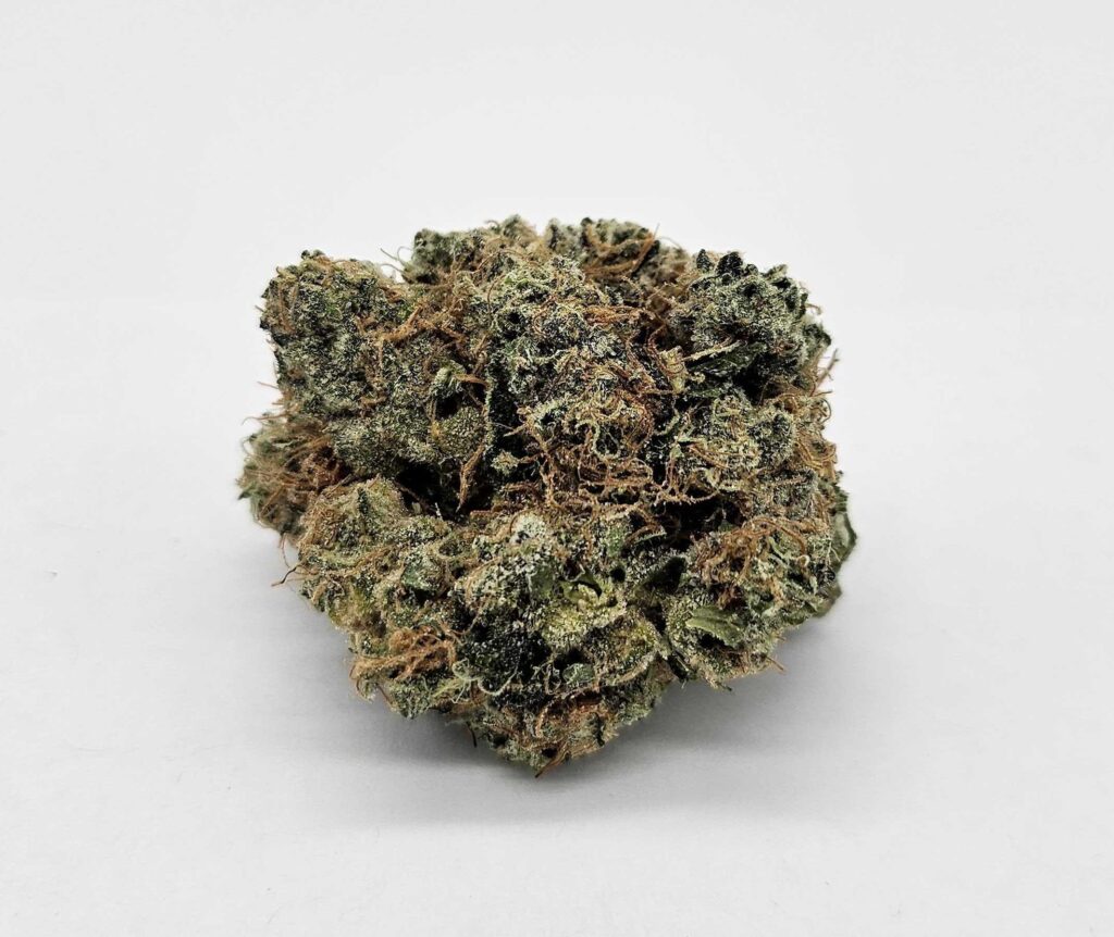 CANDY FUMES (MERAKI) - INDICA