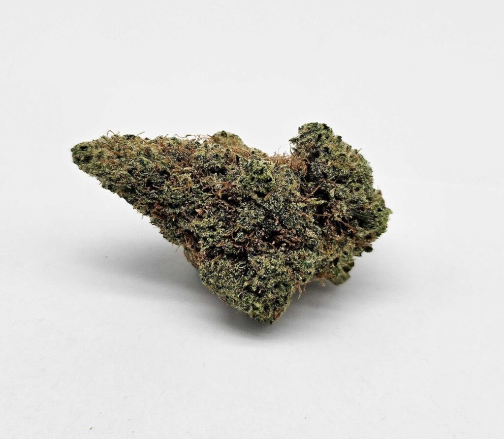 EMERALD APRICOT (MERAKI) - SATIVA