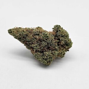 EMERALD APRICOT (MERAKI) - SATIVA