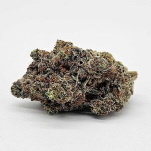 FRENCHIE (GP FARMS) - HYBRID