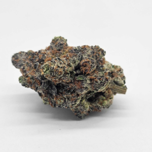 FRENCHIE (GP) - HYBRID