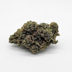 GOOFIEZ (MERAKI) - INDICA