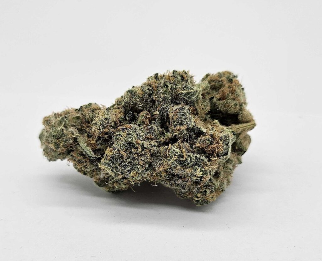 GORILLA BREATH (GP FARMS) - INDICA