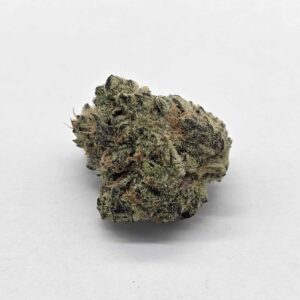 GOVERNMINT OASIS (AVITAS) - HYRBID