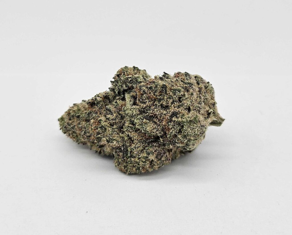 HEADLIGHTS (GP FARMS) - HYBRID