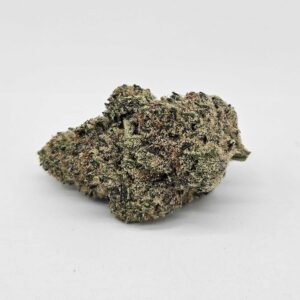 HEADLIGHTS (GP FARMS) - HYBRID