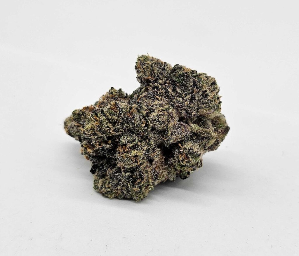 HIGH NOTE (GP FARMS) - INDICA