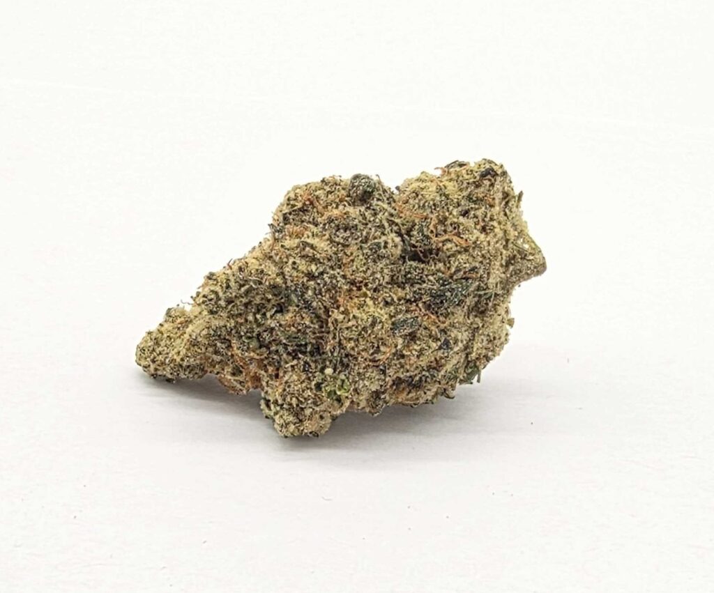 INFINITY LINX (AVITAS) - SATIVA
