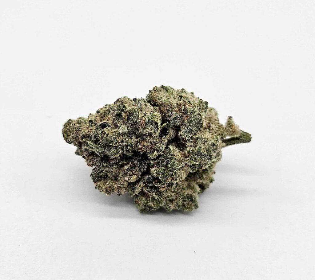JUICEE J (AVITAS) - HYRBID