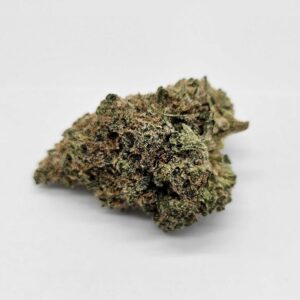 MERAKI MANGO (MERAKI) - HYBRID