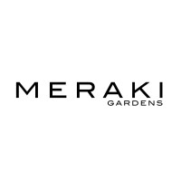 MERAKI MANGO (MERAKI) - HYBRID