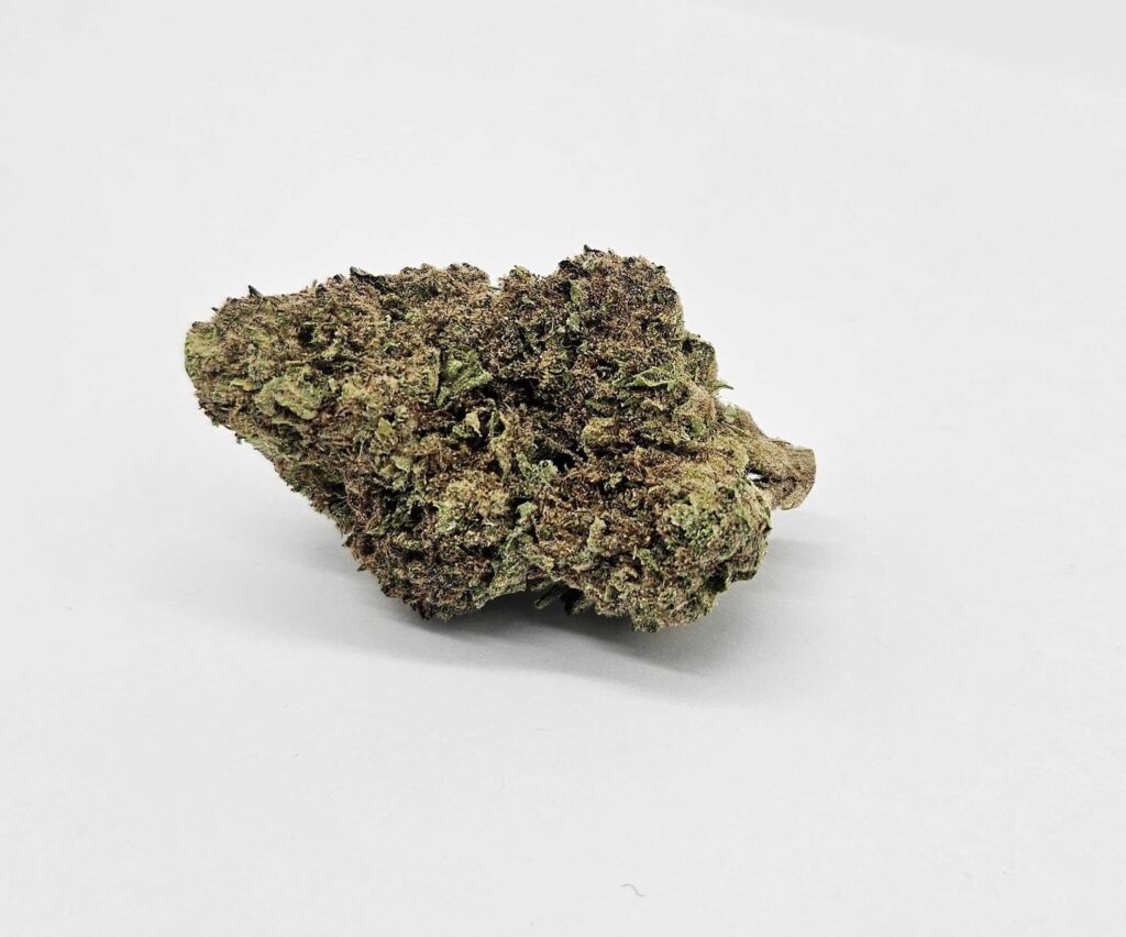OD BLUE CITY DIESEL (WILLIAMS WONDER) - INDICA