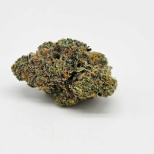 PURPLE MILK (GP FARMS) - SATIVA