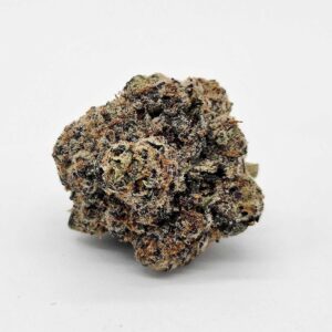ROYAL RUCKUS (GP FARMS) - HYBRID