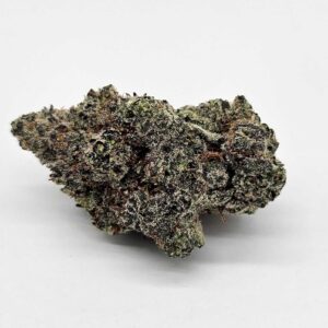 SLAYBERRY (MERAKI) - HYBRID