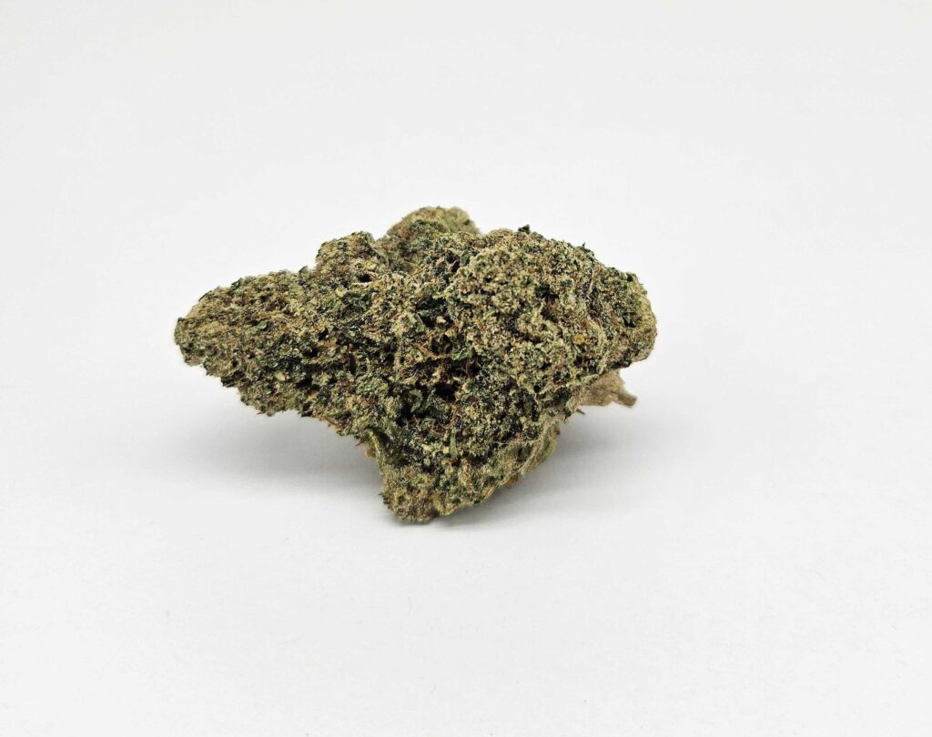SNEEZE (MERAKI) - SATIVA