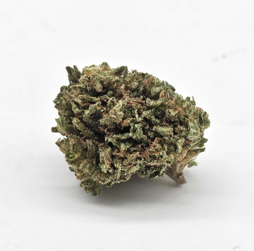 EAST FORK CULTIVARS OD LLAMA KING (EF) - CBD SATIVA - SATIVA