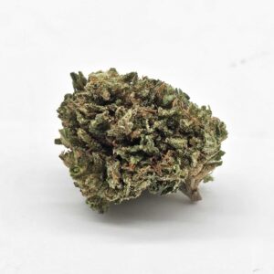 EAST FORK CULTIVARS OD LLAMA KING (EF) - CBD SATIVA - SATIVA