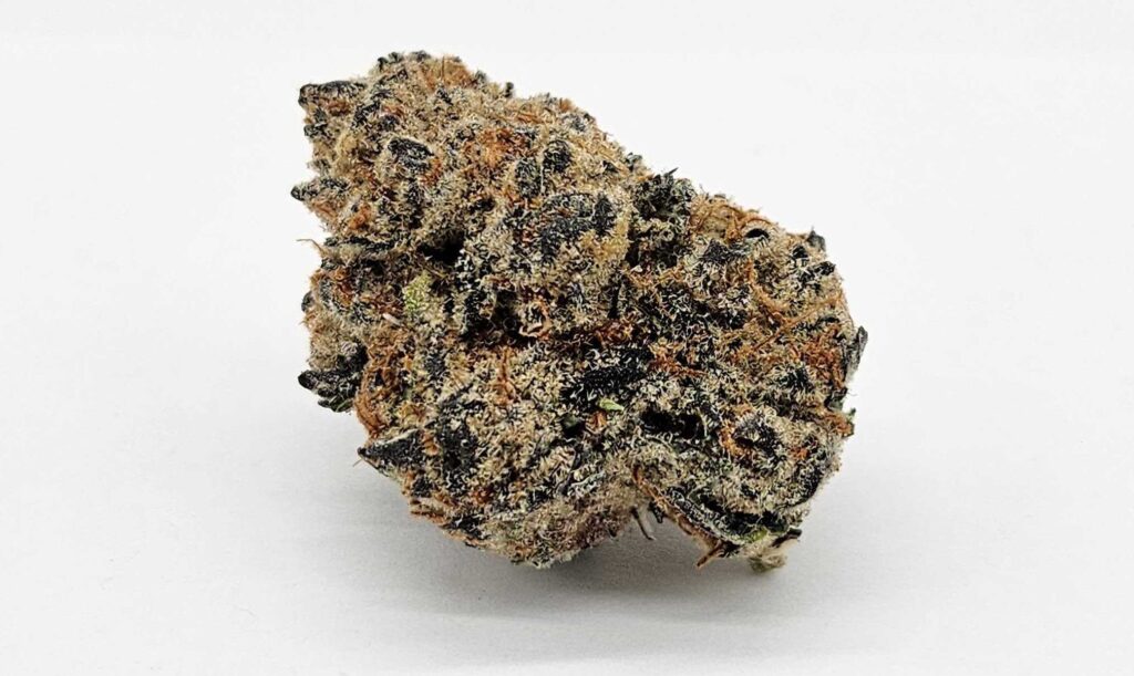 CADILLAC RAINBOWS (GP) - INDICA